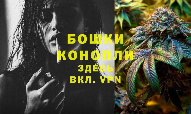 Шишки марихуана THC 21%  Лахденпохья 